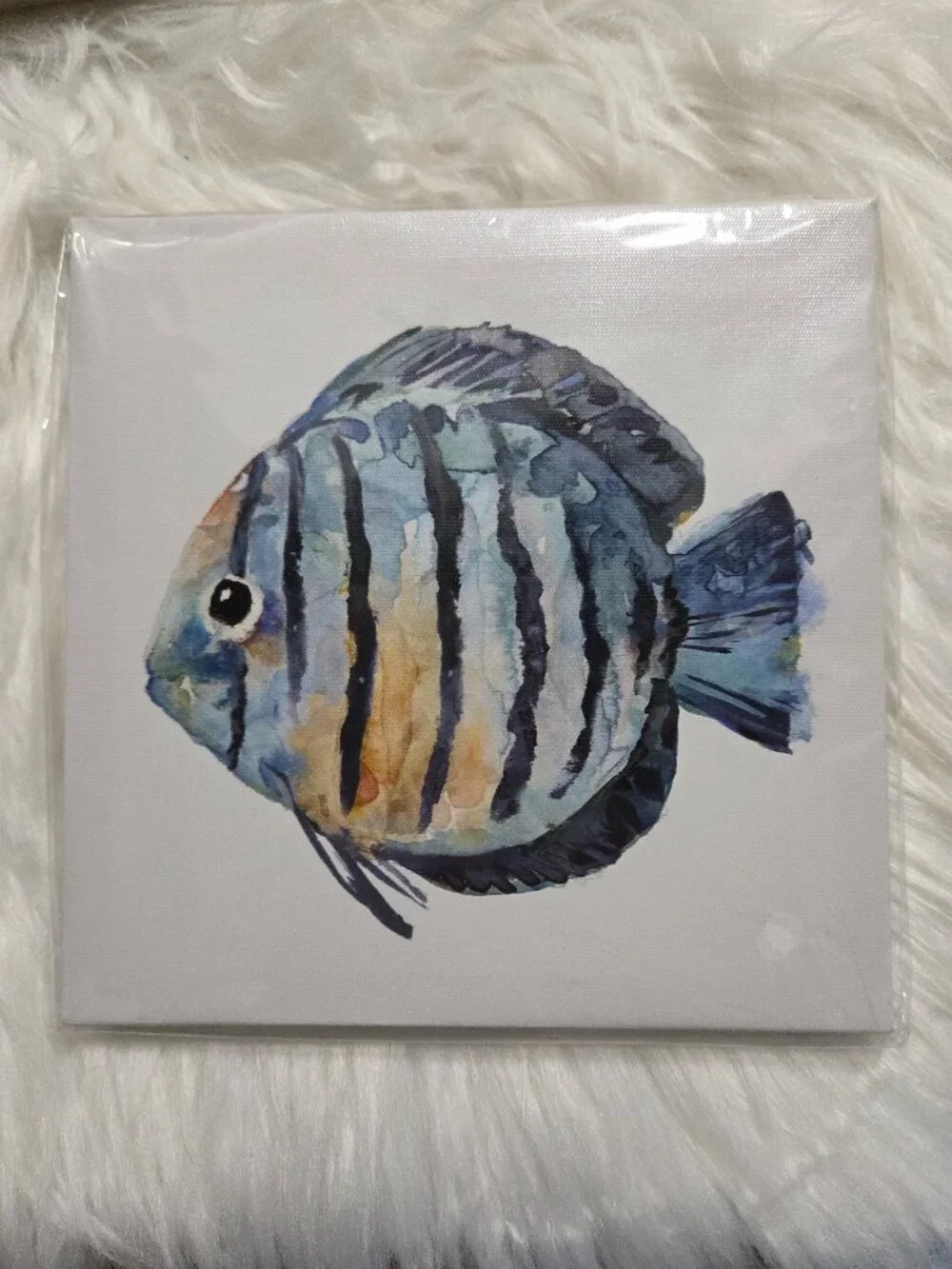 Seahorse & Fish Wall Art Set